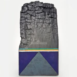Goncalo-Ivo-Escultura-Madeira-Tempera-Galeria-Paulista-a